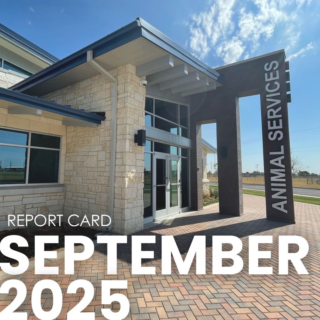 Animal Services Report Carousel