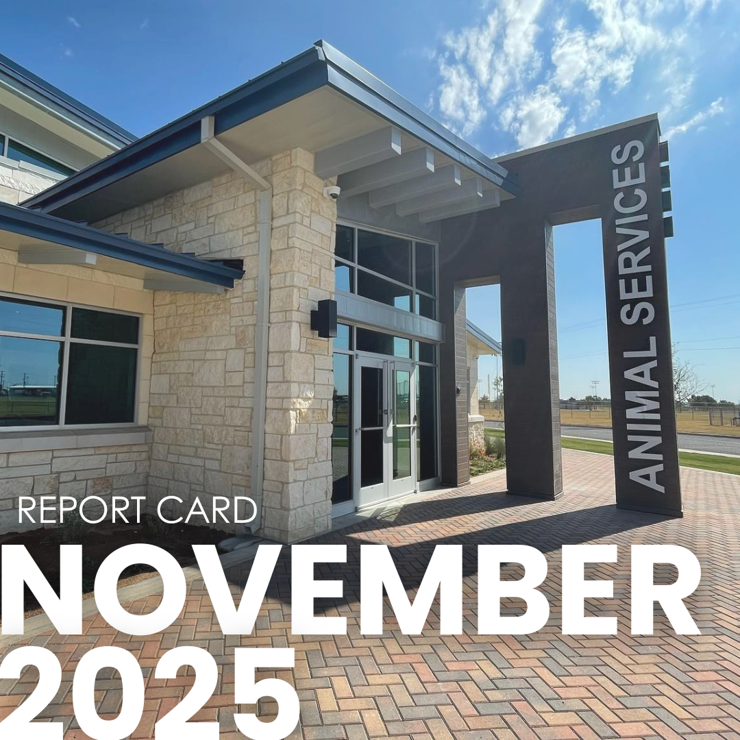 November report card