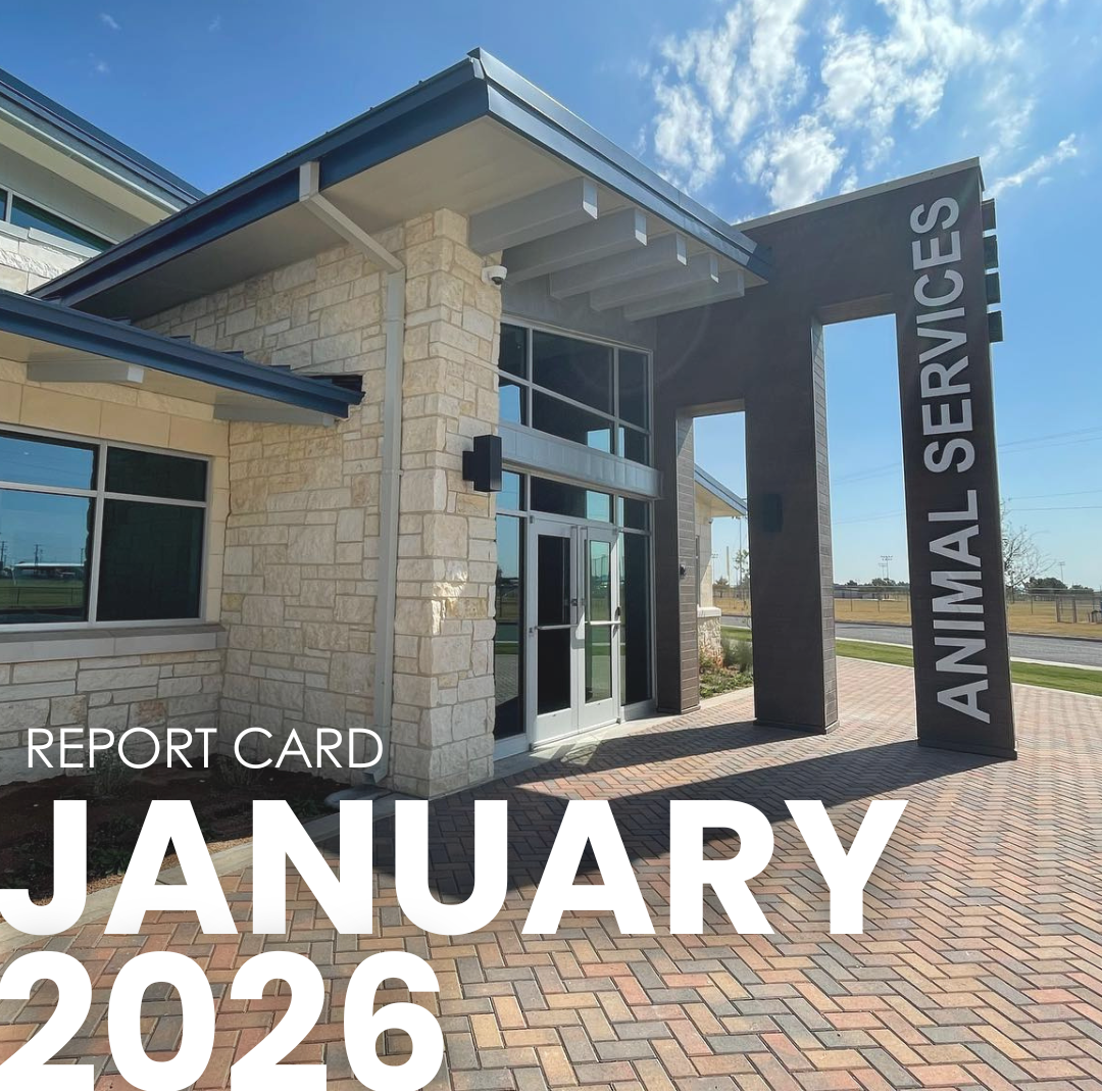 Report card for website