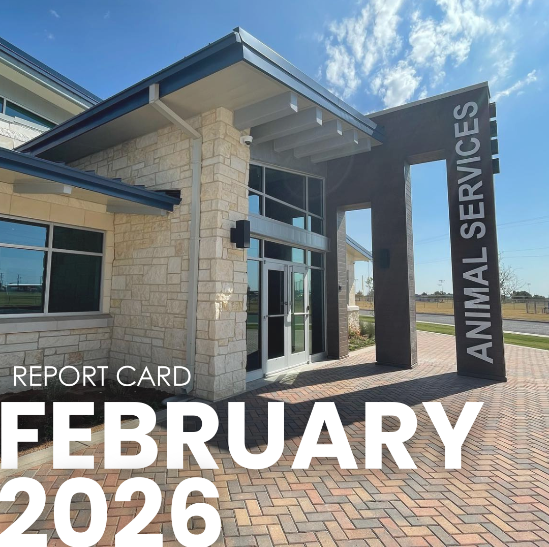 Animal Services for Februrary