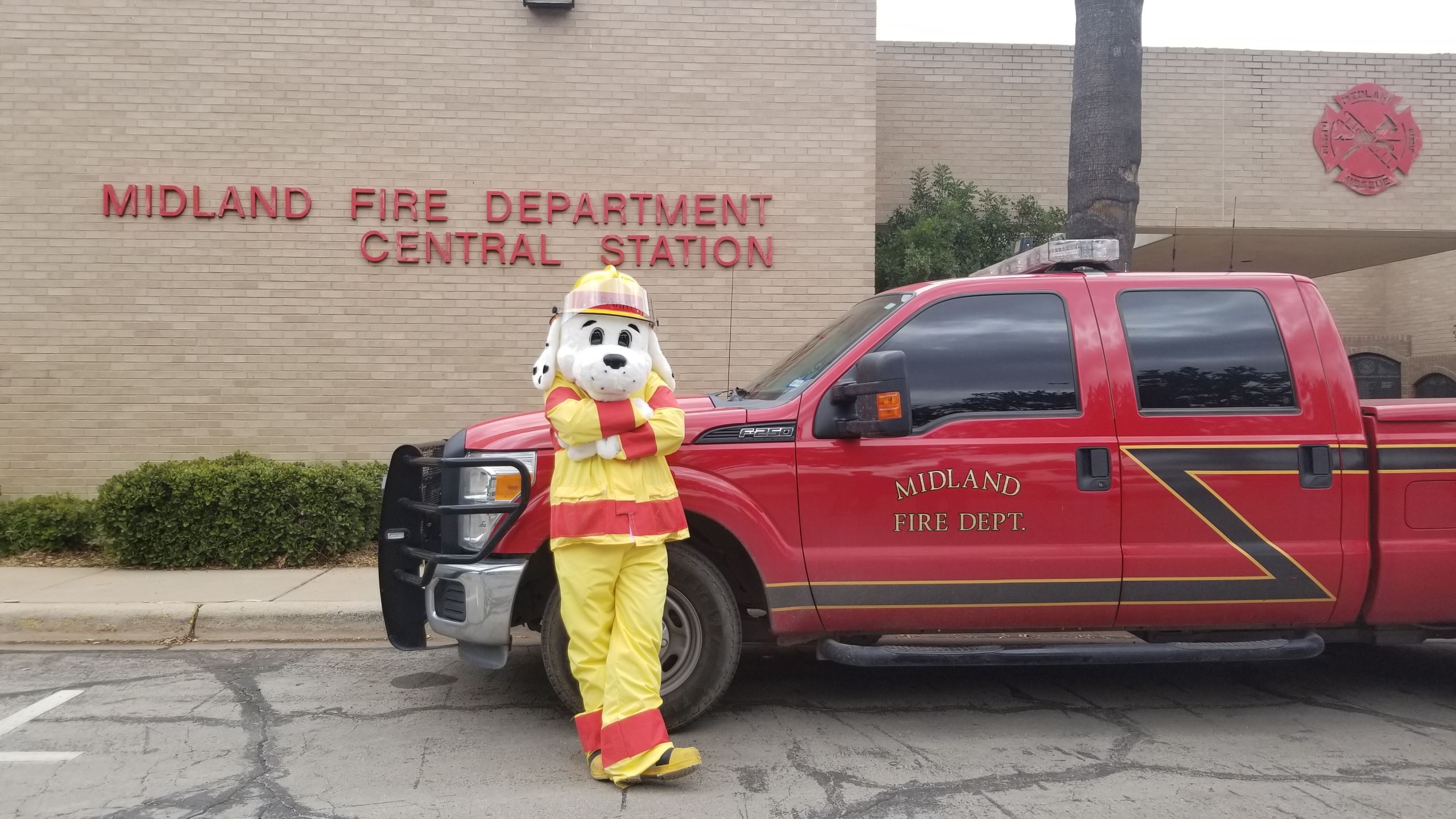 Sparky the Fire Dog image
