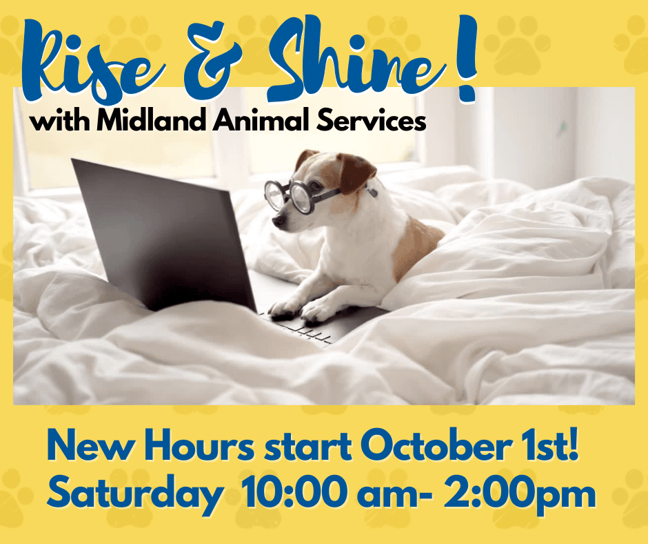 Oct 1st. Animal New Hours
