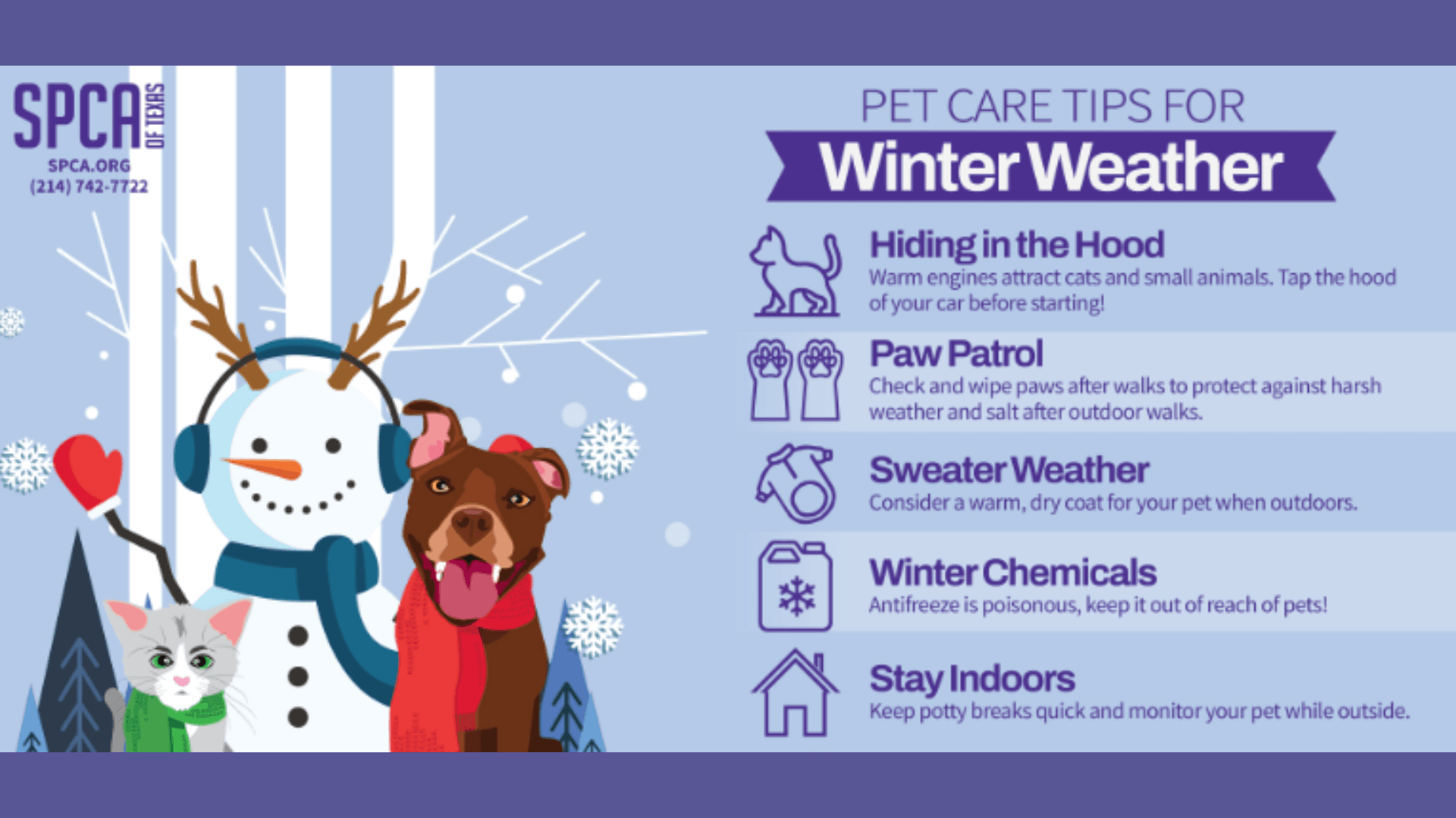 Pets in Winter Weather 2022