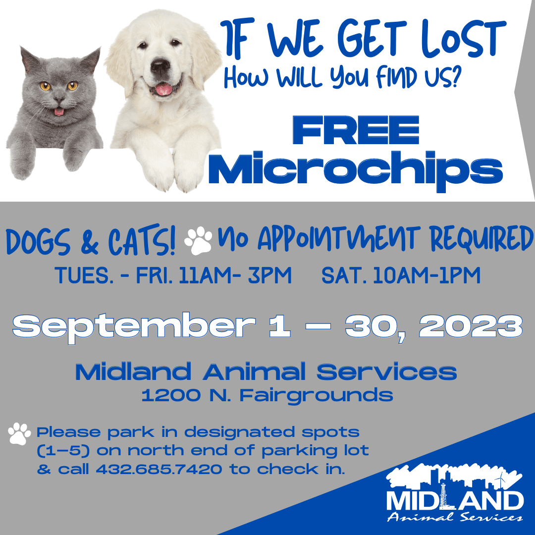 Free Microchips - Instagram -