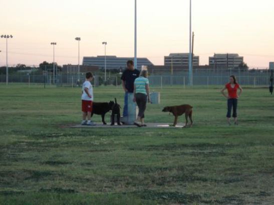Hogans Dog Park