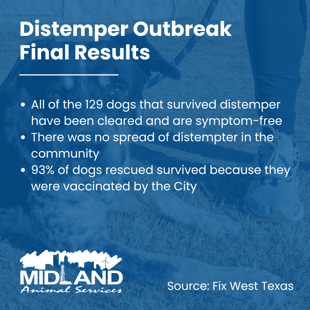 Distemper Outbreak Final Results Insta